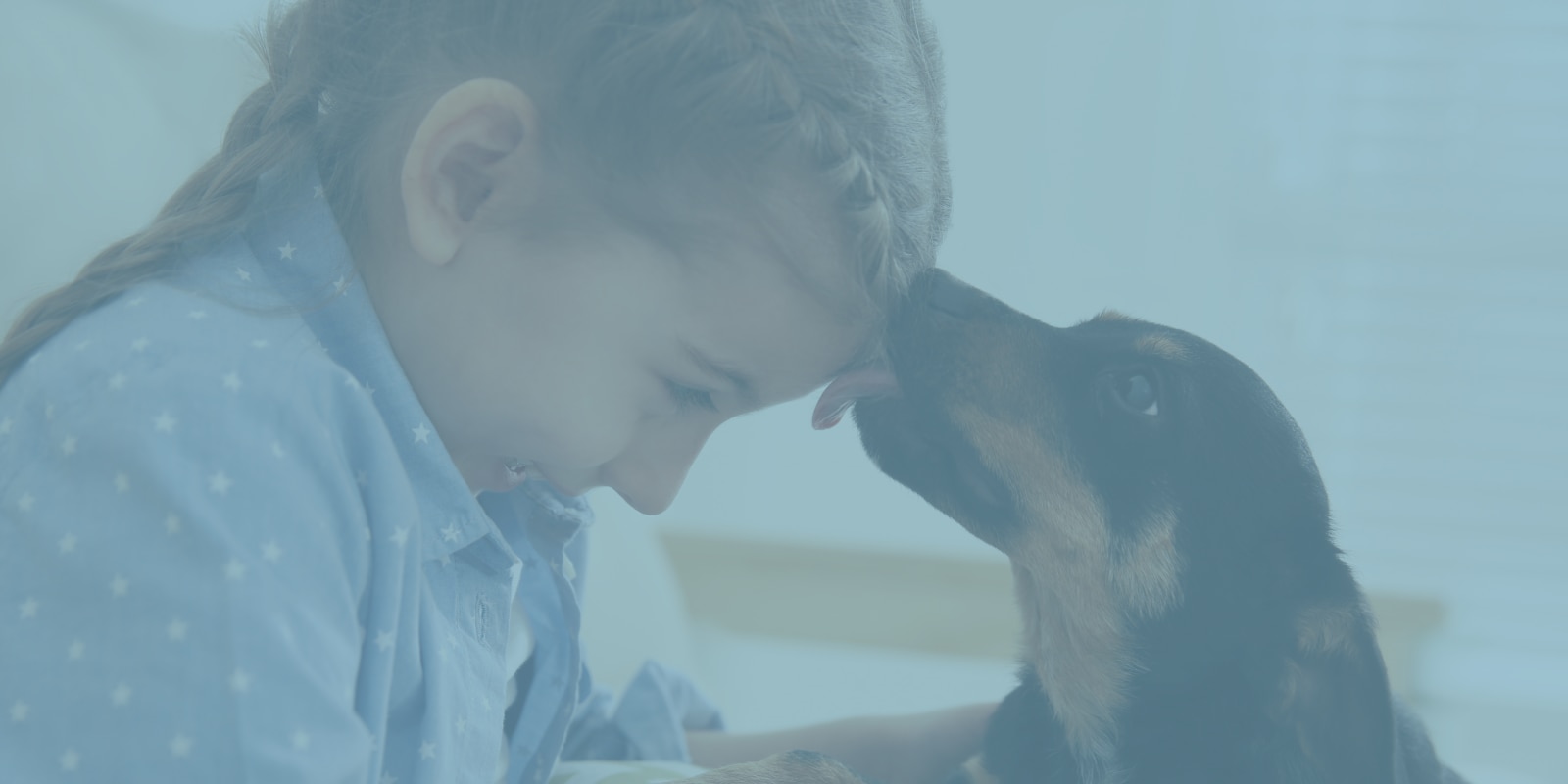 Cão a lamber a testa de uma menina, com o título: «Sabe como tratar as mordidas e arranhões dos seus animais de estimação?»