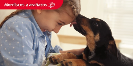 Perrito lamiendo cariñosamente la frente de una niña que sonríe y se lee el texto “Mordiscos y arañazos” en un recuadro en la esquina superior izquierda.