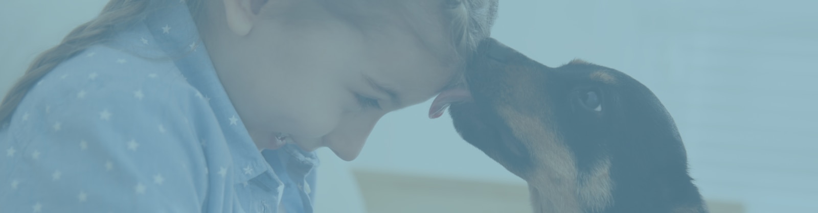 Perrito lamiendo cariñosamente la frente de una niña que sonríe bajo el título ¿Sabes cómo curar mordiscos y arañazos de tus mascotas?