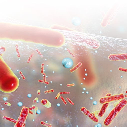 De afbeelding toont schematische staafvormige en bolvormige microben in een onbepaalde, transparante omgeving.