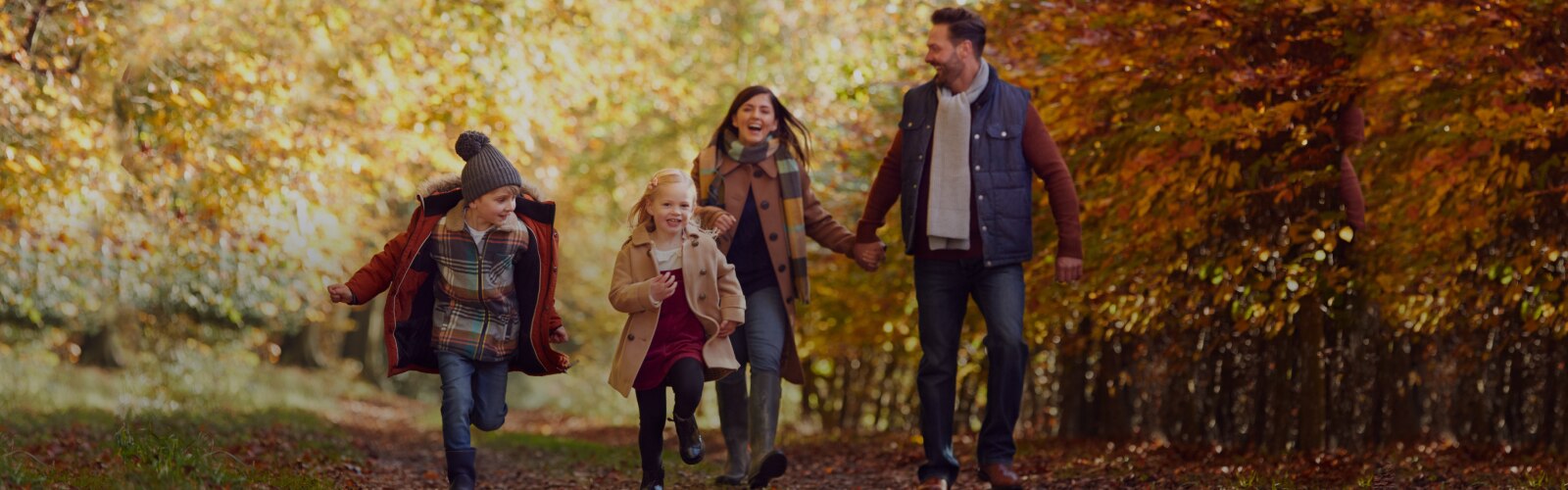 Familia paseando de la mano en un bosque otoñal