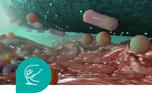 Sorbact Technology removes bacteria.