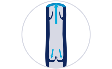 An illustration showing working vein valves.