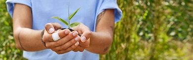 A person holding some soil in their cupped hands, with a small green shoot showing. 