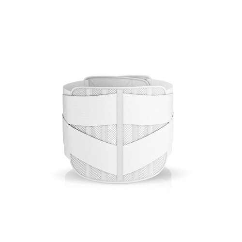 Sett bakfra av Actimove Professional Line Lumbal Sacral Support Comfort med ekstra Støttebelte og Trykkpute på modellen