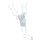 How to put on the Actimove Arthritis Care Knee Support: Slide your foot into your knee sleeve and pull it up onto your knee