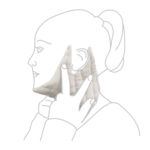 JOBST® JoViPad® Neck