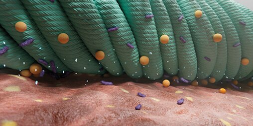 Close-up of microbial world, where the Sorbact dressing removes bacteria from a wound