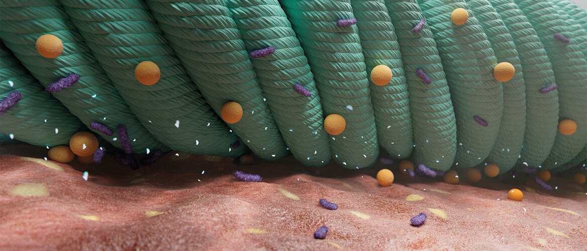 Close-up of microbial world, where a Sorbact dressing removes bacteria from a wound