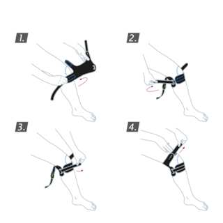 How to put on the Actimove Sports Edition Dual Knee Strap: Wrap brace around your leg and secure the straps