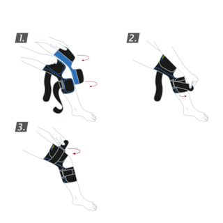 How to put on the Actimove Sports Edition Knee Brace Wrap Around: wrap your brace around your leg and fasten the straps