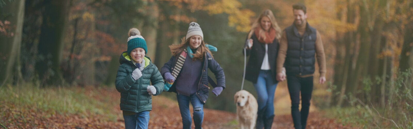 Familia al completo disfruta de un paseo y de la diversión en un bosque otoñal. Todos están preparados para el clima de otoño. 