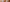 Plester Wide Area Fixation
