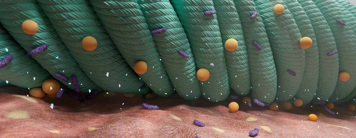 A close up of an illustration of Cutimed Sorbact green dressing against the skin