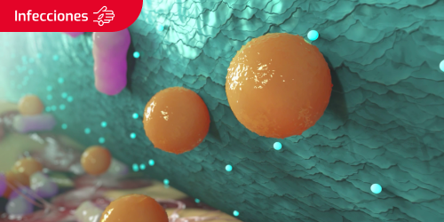 Carátula del artículo de prevenir infecciones